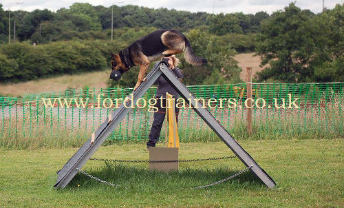 IGP dog training toy